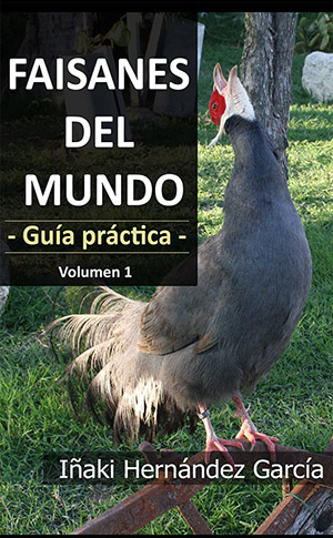Faisanes del mundo. Guía práctica - volumen 1